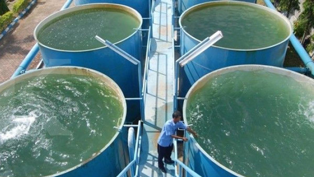 ペルームダダナムタカは、ペナジャムパセルウタラダンフリーダムのきれいな水の生産はわずか50%であることを明らかにしました