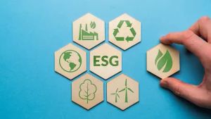 PLN Kembangkan Program Pendanaan Berkelanjutan untuk Perkuat Aspek ESG