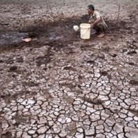 Catat! Sembilan Wilayah di DIY Ini Berstatus Waspada Kekeringan Meteorologis