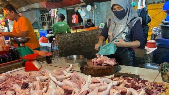 Harga Ayam Potong di Palembang Turun dalam Sepekan Terakhir