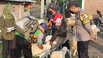 Wabah PMK di Jatim: Pasar Hewan di Magetan Tutup, Pemkab Lakukan Lockdown Pada Sapi