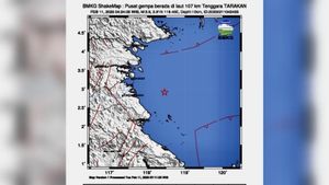 BMKG: Tarakan Jadi Wilayah dengan Aktivitas Gempa Tertinggi di Kalimantan
