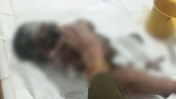 Le corps d'un bébé d'une journée a été retrouvé dans le buissot, la police a abaissé la main