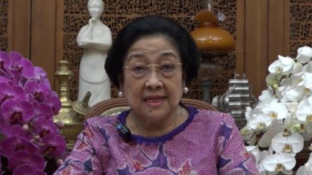 Penerapan SIN Pajak, Megawati: Cegah Pidana Korupsi