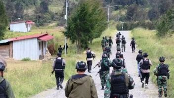 KKB Tebar Teror Bakar Pesawat, Bandara Perintis di Papua Disarankan Ditutup Sementara