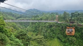 'Magis' Ganjar Pranowo Posting Keindahan Dusun Girpasang Klaten di Medsos: Ramai Wisatawan, Omset Meningkat Rp75 Juta/Bulan