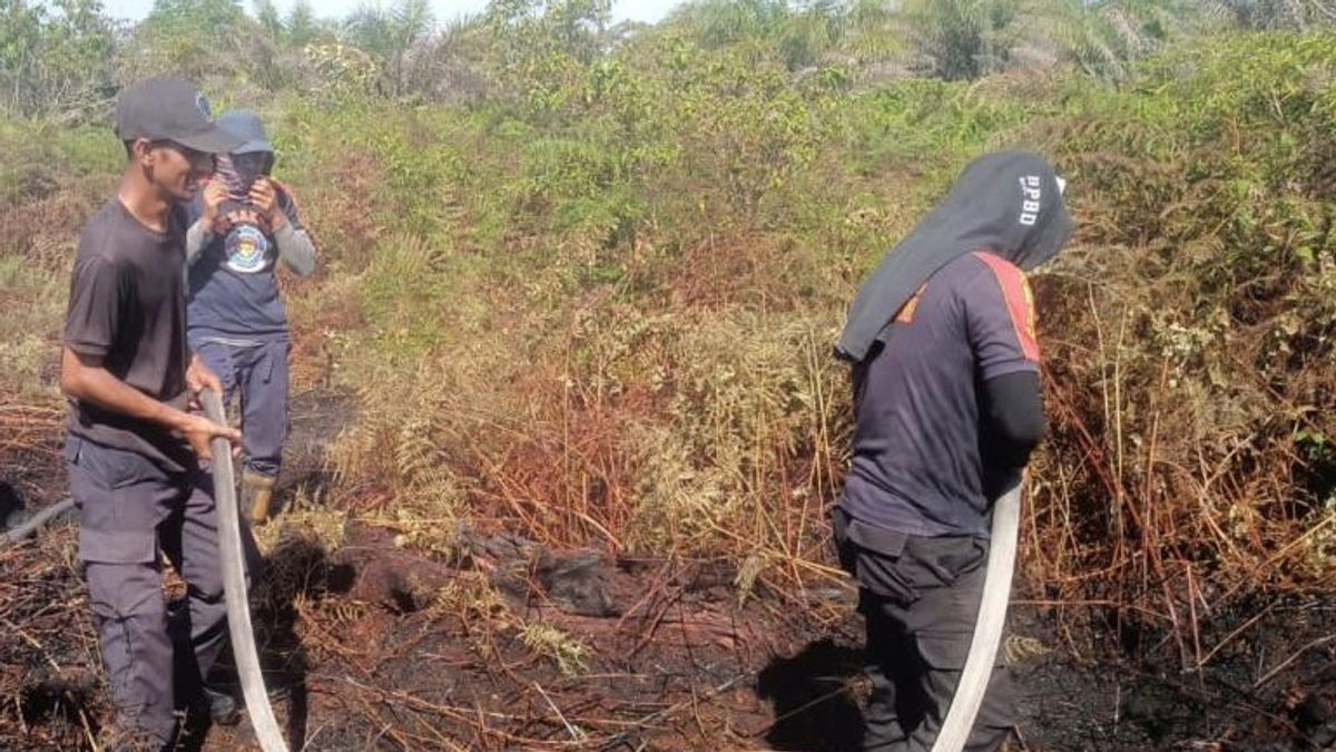1.3 Hectares Of Gardens In West Aceh Successfully Extinguished