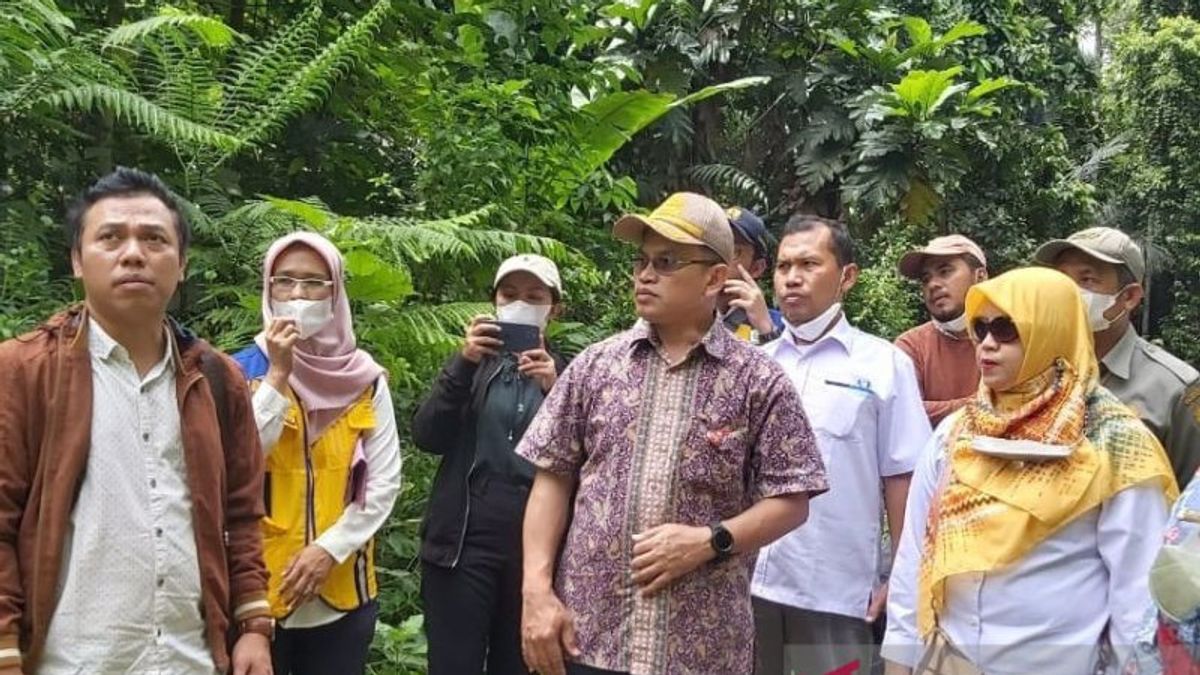 Buka Lahan Ribuan Hektar Buat Penyangga Pangan IKN, Walhi Ingatkan Pemprov Sulteng Jangan Rusak Hutan