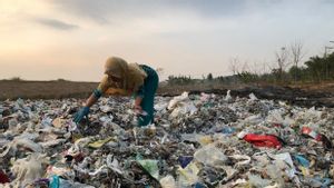 UI : La gestion des déchets plastiques est tenue par toutes les parties prenantes