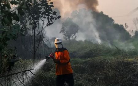 Cegah Karhutla yang Masih Muncul, Komisi IV Usul Pendekatan ke Warga Lewat Kearifan Lokal