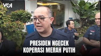 President Prabowo Subianto 