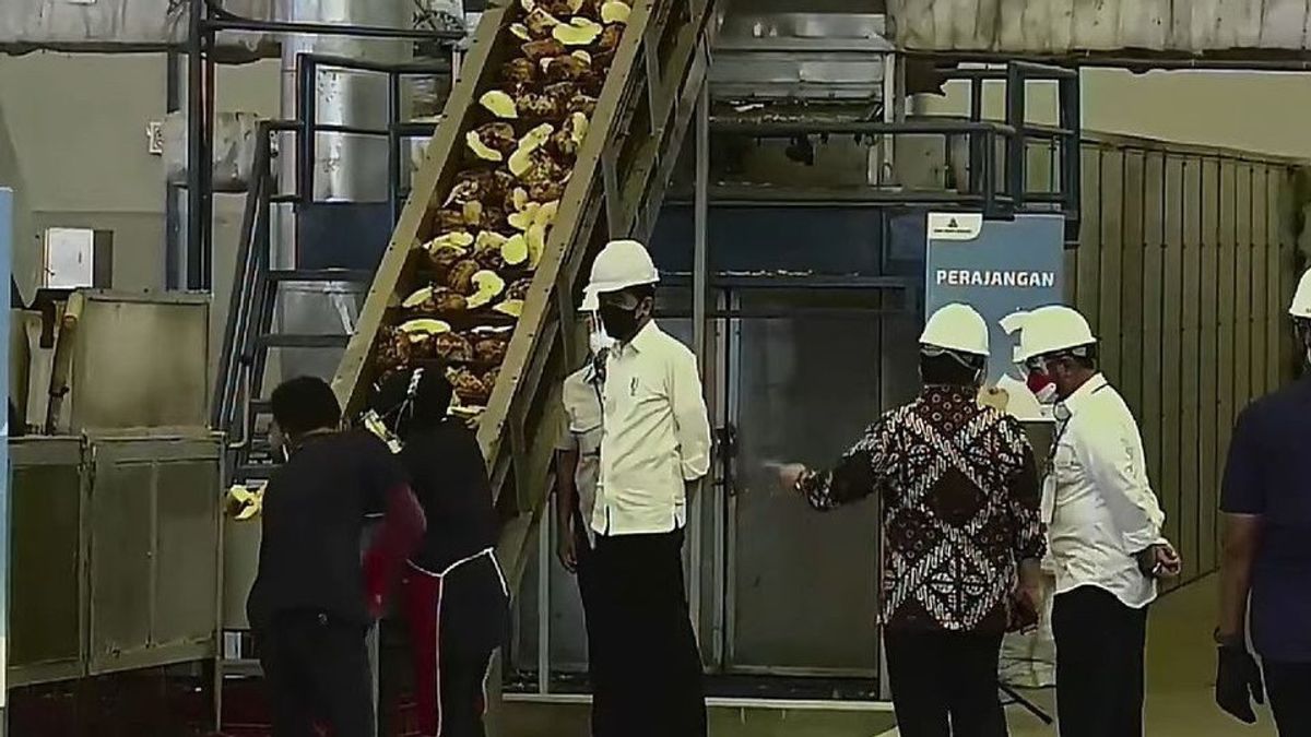Kunjungi Pabrik Pengolahan Porang di Madiun, Jokowi: Akan Menjadi Makanan Masa Depan