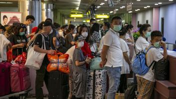 Legislator: Masuknya WN China di Tengah Larangan Mudik adalah Keanehan