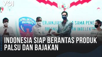 视频：美国商会印度尼西亚重视许多侵犯知识产权的行为