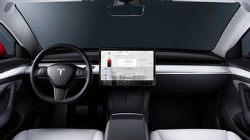 Elon Musk Expects Level 4 And 5 Autonomous Driver Systems To Come At The End Of 2023, What's The Technology Like?