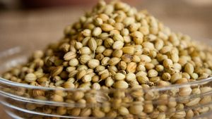 Manfaat Minum Air Ketumbar Sebelum Tidur Secara Teratur