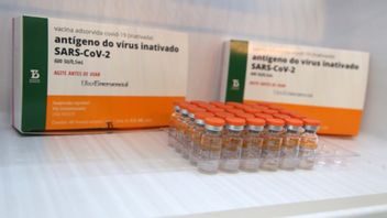 Arrêtez D’utiliser Le Vaccin Contre La COVID-19 Sinovac, Malaisie Utilisez Le Vaccin Pfizer