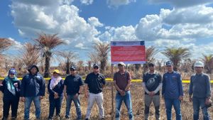 KLH Proses Hukum PT SSM terkait Kebakaran Lahan di Banjar Kalsel