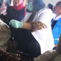 Dinsos Tulungagung Pantau Kondisi Tiga ODGJ yang Masih Dipasung