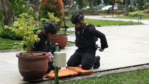 Granat Nanas Ditemukan di Balai Kota Surabaya