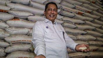 President Director Of Bulog Budi Waseso: We Have Not Imported Rice For Four Years In A Row, Domestic Stocks Are Still Safe