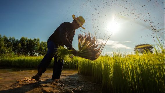 Food Problem Kian Sebesar, World Bank Prepares Dollar 30 Billions Of Funds Next Year