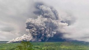 Jalur Pendakian Gunung Semeru Ditutup, Ada Seratusan Pendaki Turun dari Ranu Kumbolo Besok Pagi