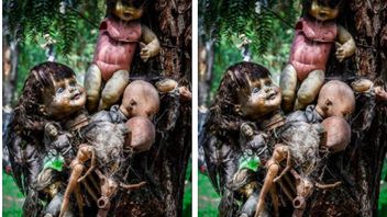 The Mystery Of Doll Island In Mexico Which Is Occupied By Thousands Of Spirit Dolls, Is Believed To Be Full Of Curses