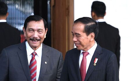 Berani Lanjutkan Hilirisasi, Jokowi Diibaratkan Sopir Angkot dan Luhut sebagai Kernetnya