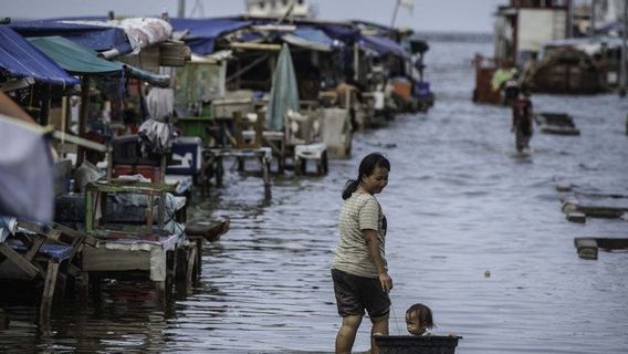 Pemkot Pekalongan-Belanda Kerja Sama Penanganan Banjir Rob