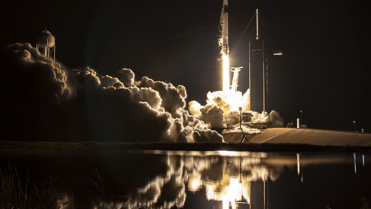 SpaceX Ingin Bangun Landasan Pacu di Wilayah Suaka Margasatwa, NASA Pertimbangkan Dampaknya