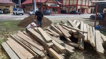شرطة القبض على قضية قطع الأشجار غير القانونية في آتشيه