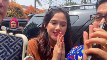 メイザに落ちる子供の親権、エザ・ジオニーノは何千万ものナフカを与える義務があります