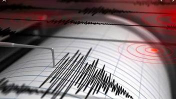 5.0米地震震撼了马鲁古东南部西部，没有海啸的可能性