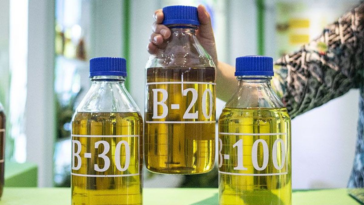 Increasing By 19 Percent, The Ministry Of Energy And Mineral Resources Has Determined The Allocation Of Biodiesel In 2023 Of 13.15 Million KL