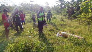 Operasi Balon Udara Liar, Polsek Kedungwuni Sita Petasan Raksasa Setinggi 1,4 Meter