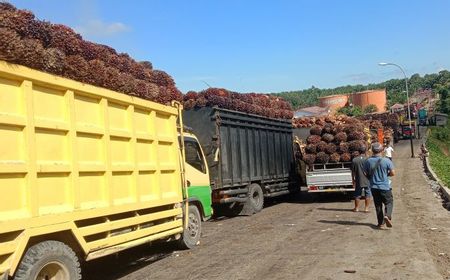 Dua Pabrik di Mukomuko Tolak Beli Kelapa Sawit dari Petani, Kenapa?