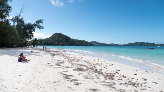 Atteindre La Première Immunité De Grand-père Au Monde, Passons Des Vacances Aux Seychelles