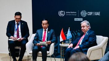 الرئيس جوكو ويدودو يدعم الأمم المتحدة لتنفيذ العمل المناخي