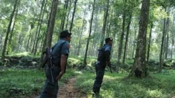 KLHK Siap Bangun Akademi Polisi Hutan di Sentul Bogor