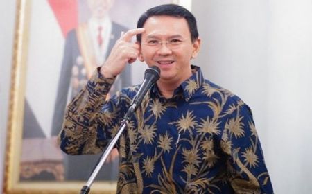 Cerita Soal Ahok Pernah Beri Masukan Soal IKN, tapi Tak Digubris Jokowi