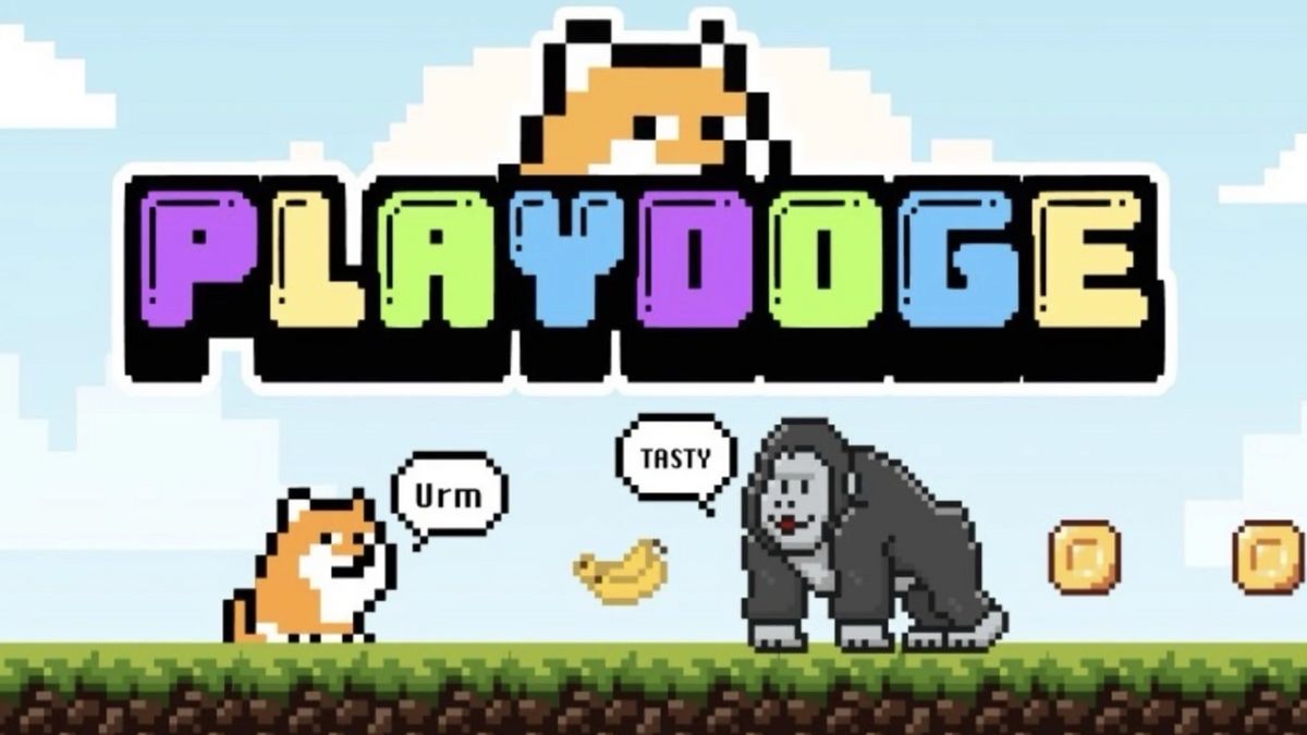 PlayDoge:一枚新的模因硬币,预计在Presale抢劫940亿印尼盾后爆炸式增长