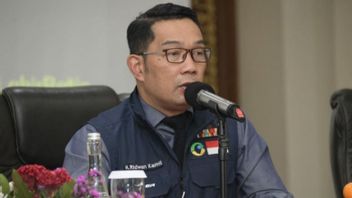 Gerakan Nasional Indonesia Juara Dorong Ridwan Kamil Maju Pilpres 2024