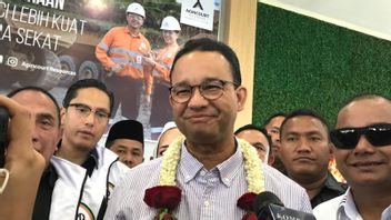 Anies' Principle Of Losing Is An Opposition, Nasdem: Outside And Inside The Government Is Just As Honored