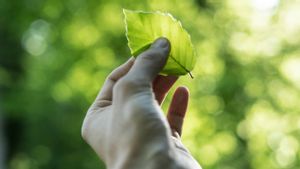 Greenomina, Aplikasi Hijau untuk Bangun Ekosistem Masyarakat Peduli Lingkungan