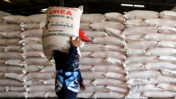 Petani Apresiasi Kebijakan Penyederhanaan Distribusi Pupuk Subsidi