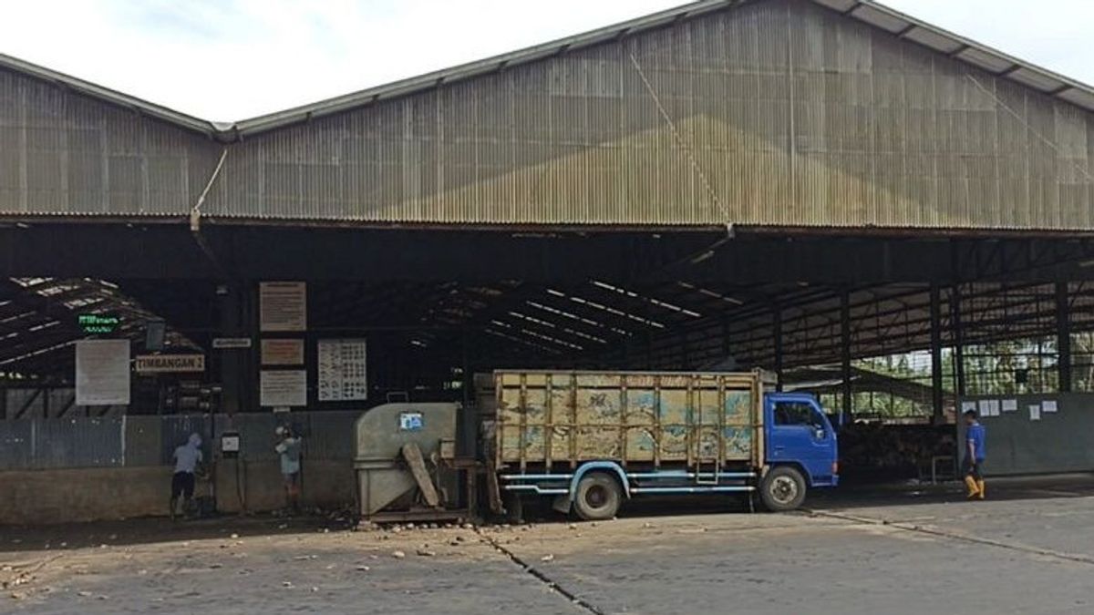 Pabrik Karet di Bengkulu Bangkrut, Siapkan Rp7 Miliar untuk Pesangon 201 Karyawan