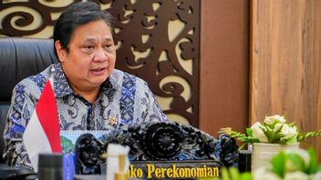 Coordinating Minister Airlangga: Young Generation Has The Potential To Create Jobs