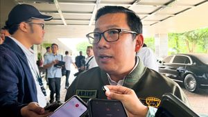 Bos Bapanas Pertimbangkan untuk Naikkan HET Beras Medium