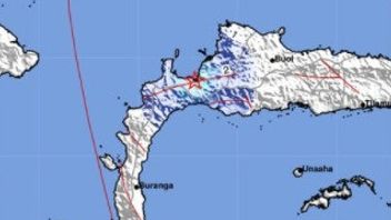 トリトリ、中央スラウェシ島とサンギー・タロー諸島、北スラウェシ島、地震で揺さぶられた